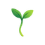 StackSeed