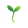 StackSeed Logo